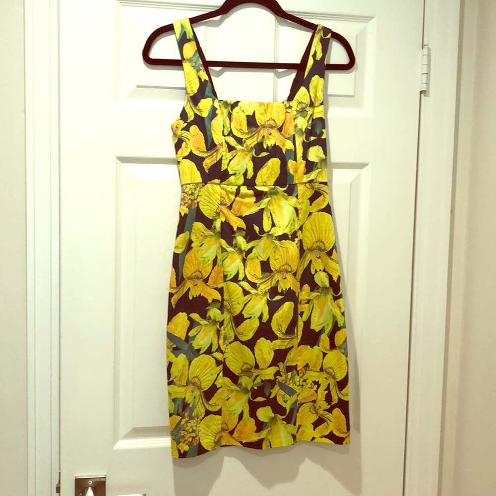 Alice & Olivia Dress